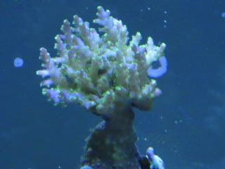 IMG_1774.jpg