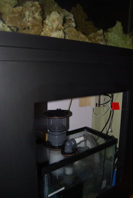 DSC_0002-1.jpg