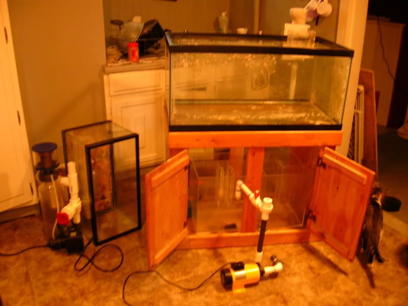 DSCN4298.jpg