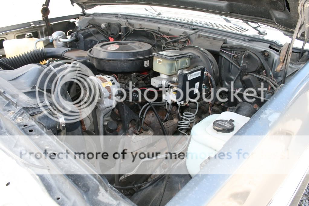 IMG_1295_zpsf2da9348.jpg