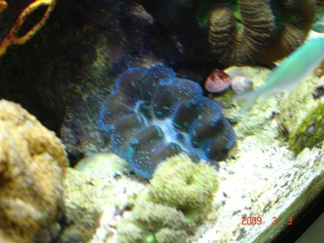 DSC02918Small.jpg