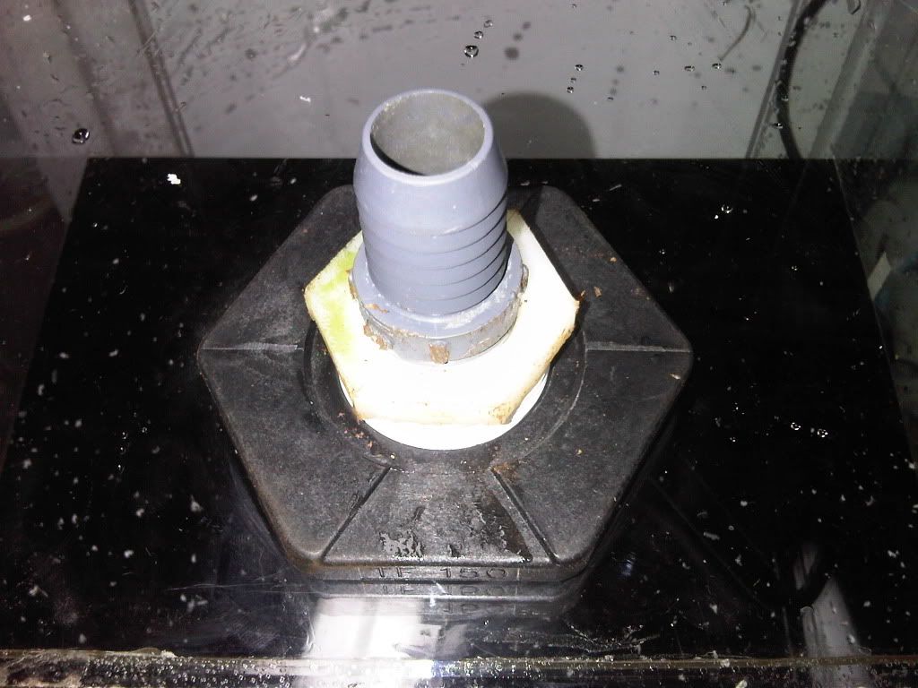 4bulkheadreducedto1.jpg
