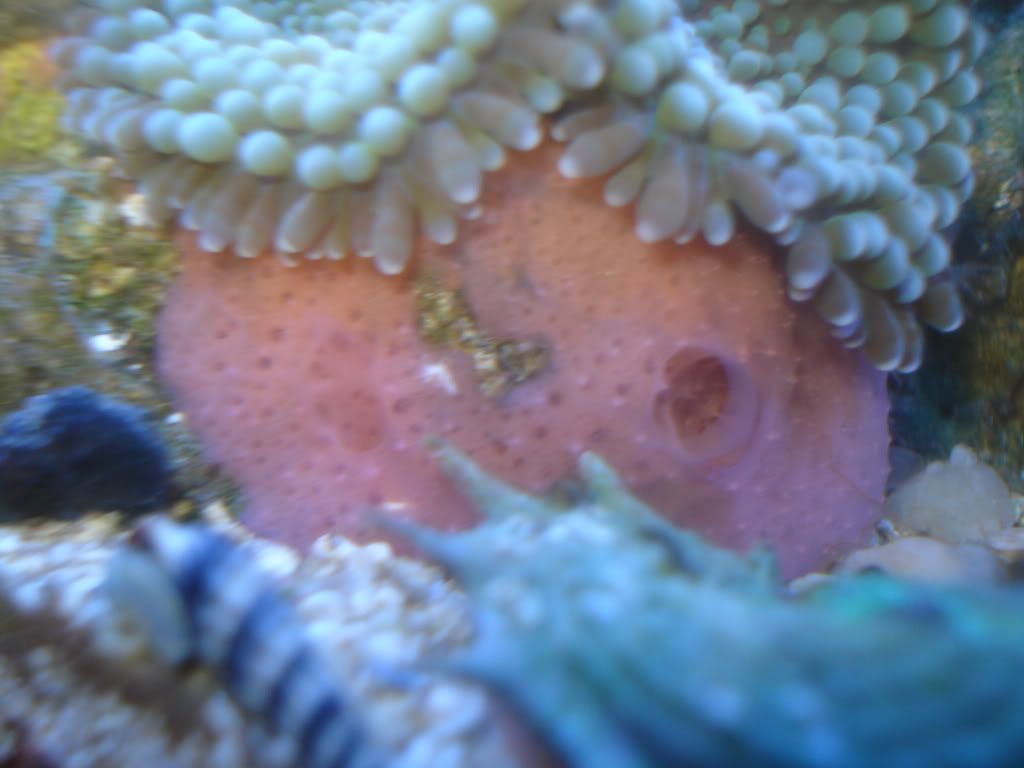 DSC05580.jpg