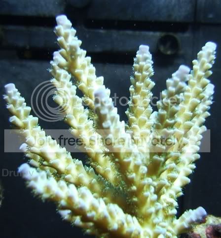 Resized_CROP-Aqua_2_06_valida.jpg