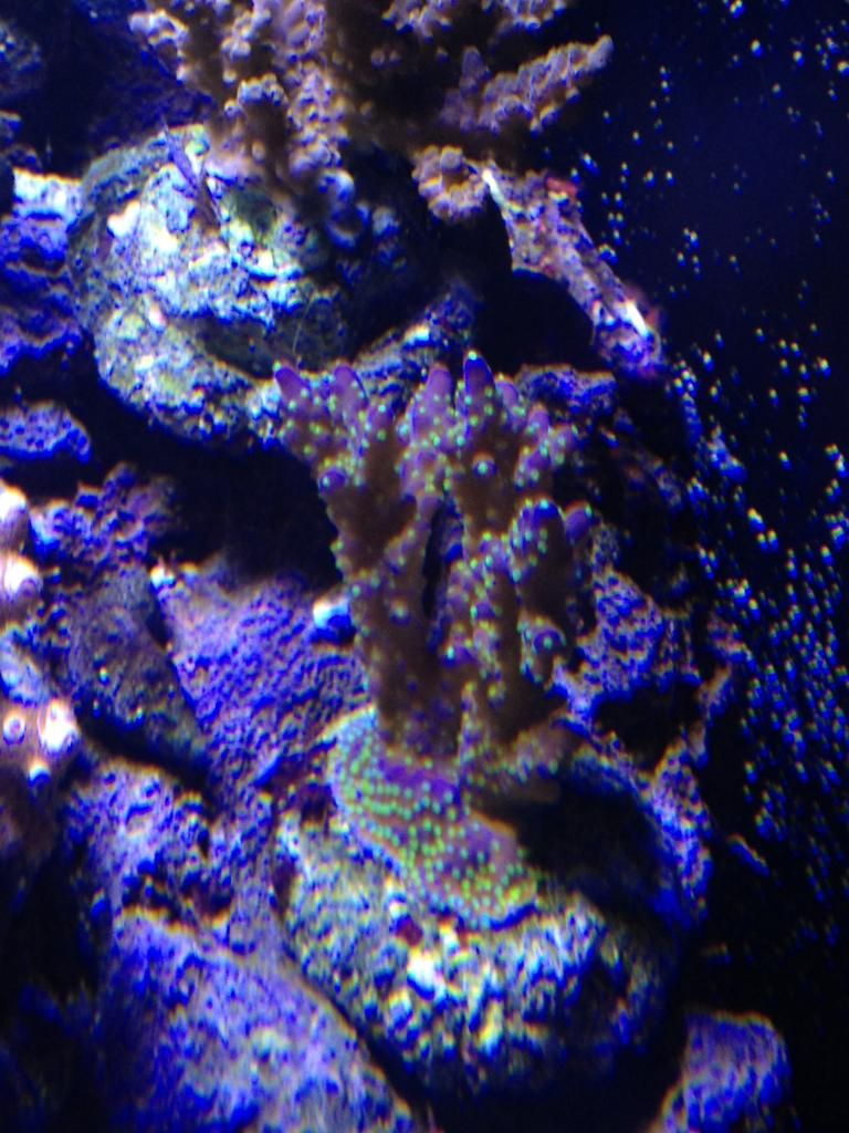 IMG_1208.jpg