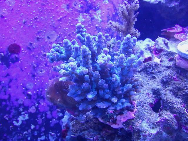 2011-02-06_135246.jpg