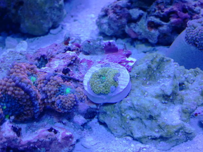 2011-04-21120237.jpg
