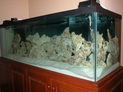 DSCN2608.jpg
