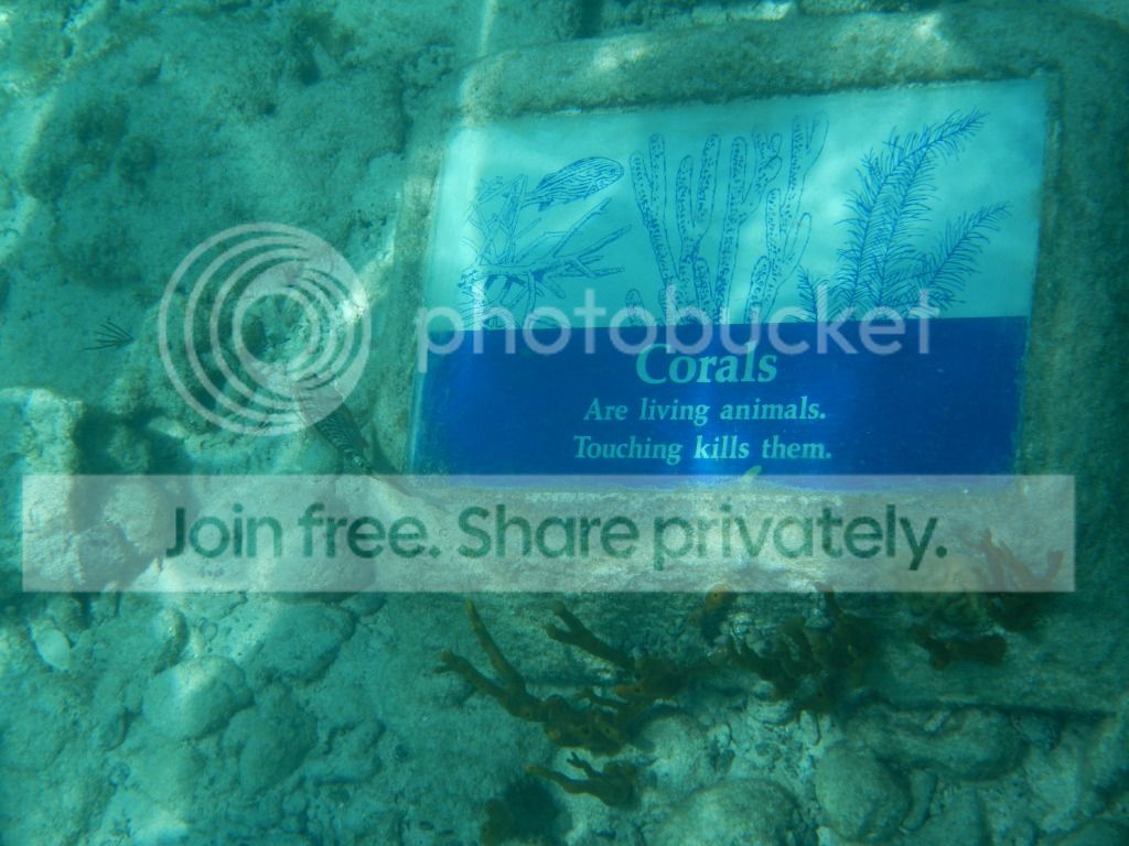 DSCN0482.jpg