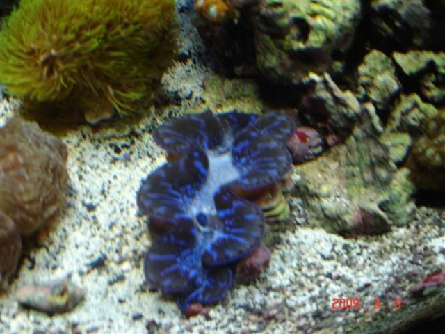 DSC02917Small.jpg