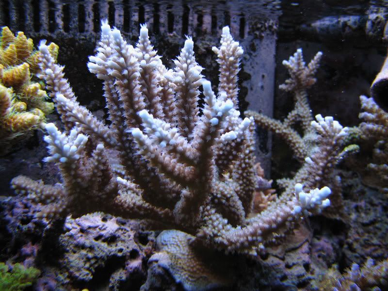4-4-08.jpg