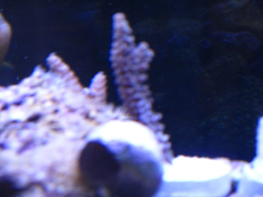 IMG_0265.jpg