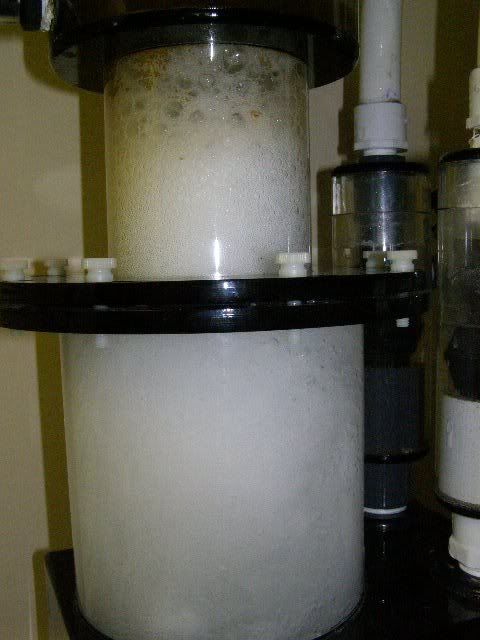 P4230176_640x480.jpg