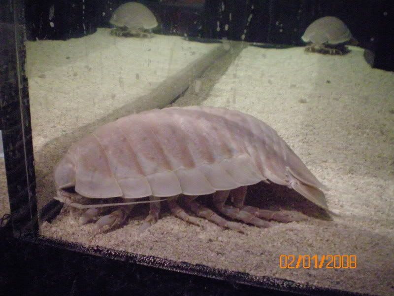 100_0142.jpg