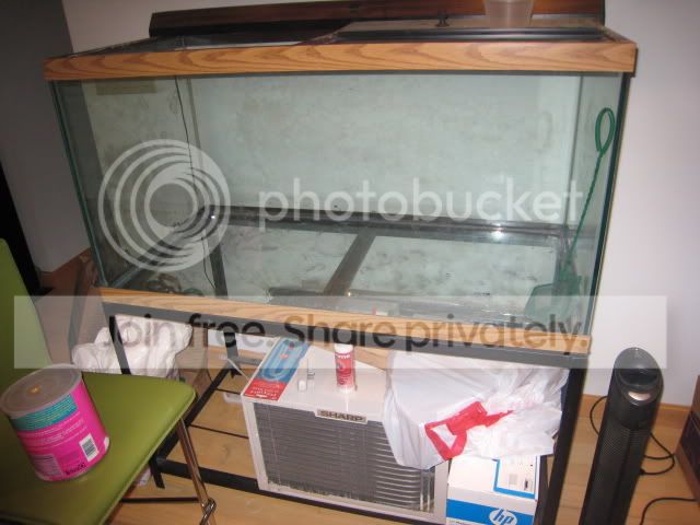 IMG_2125.jpg