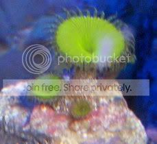 3557415330_0fbca735ef.jpg