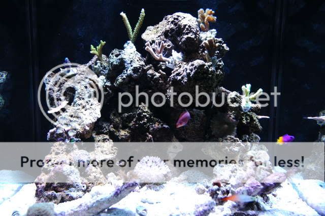 OCEANIC30020.jpg