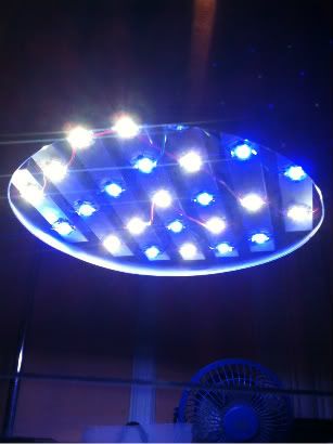 photo2-7.jpg