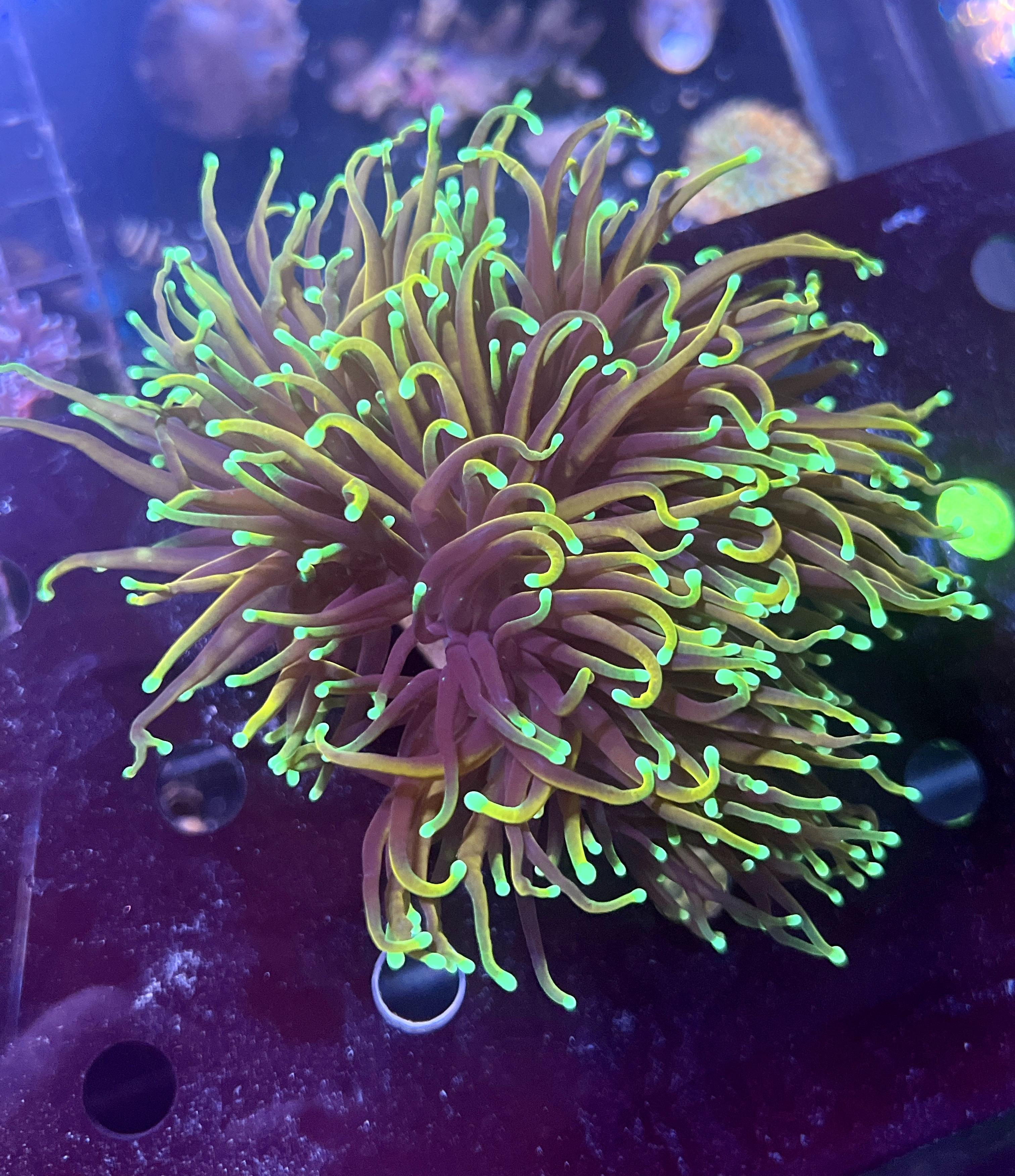 1e7a1b7698d0142e536f077e006fb88e.jpg