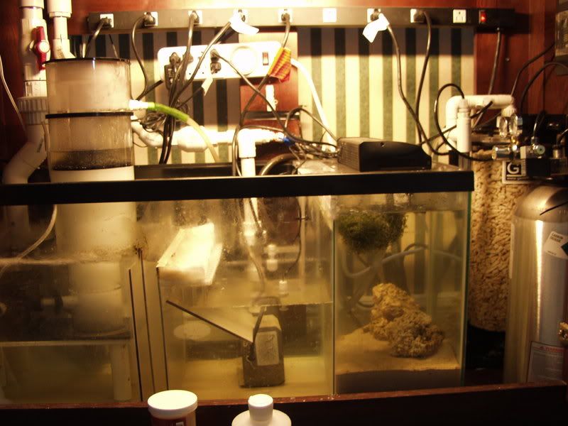 jan202008007.jpg