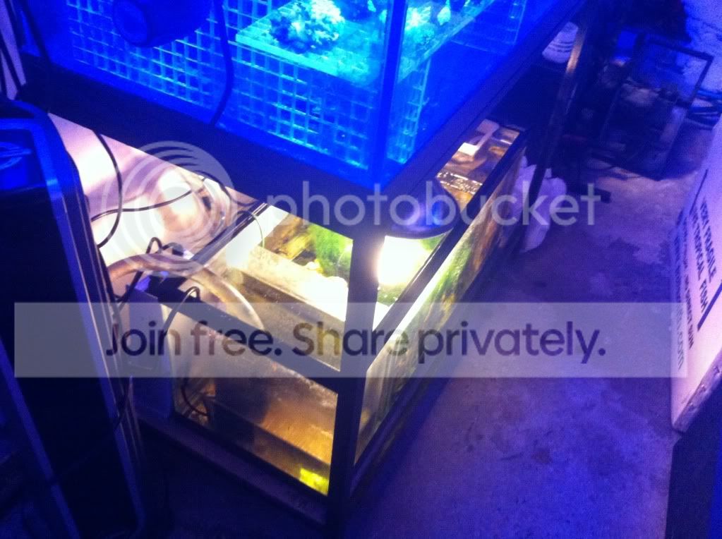 null_zpsc76fd510.jpg
