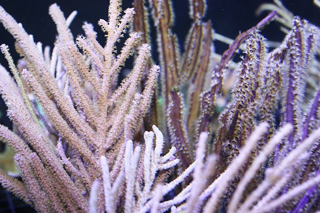 IMG_0852_zps092d12c5.jpg