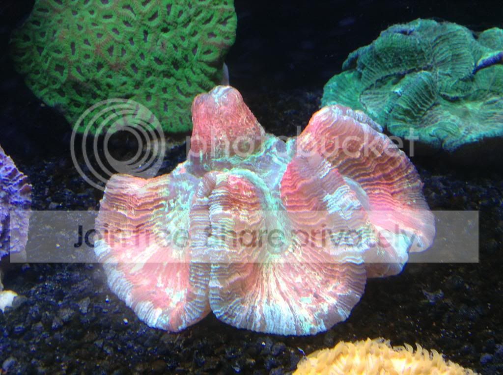image_zps64750c0c.jpg