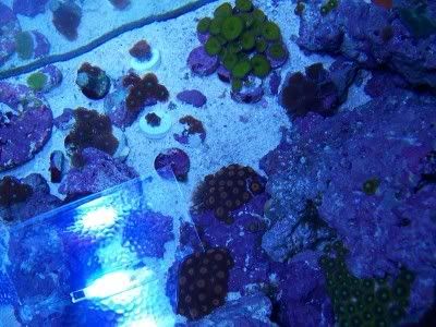 100_3724.jpg