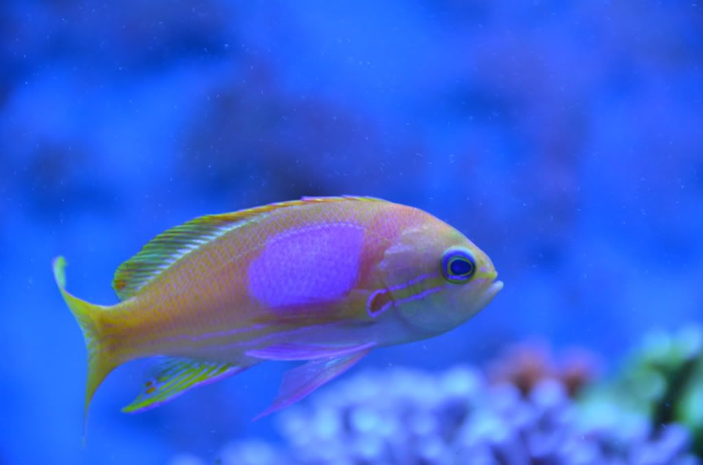 DSC_1834.jpg