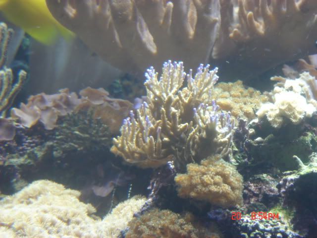DSC01416.jpg