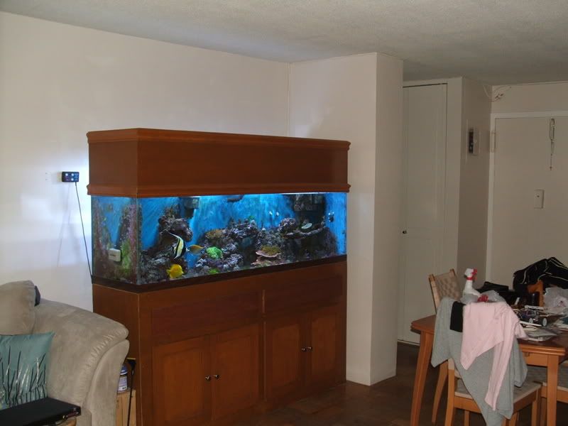 DSCF1065.jpg