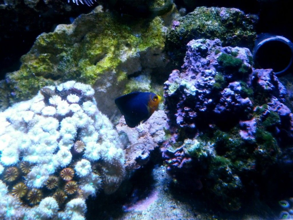 IMG_20120831_131941.jpg
