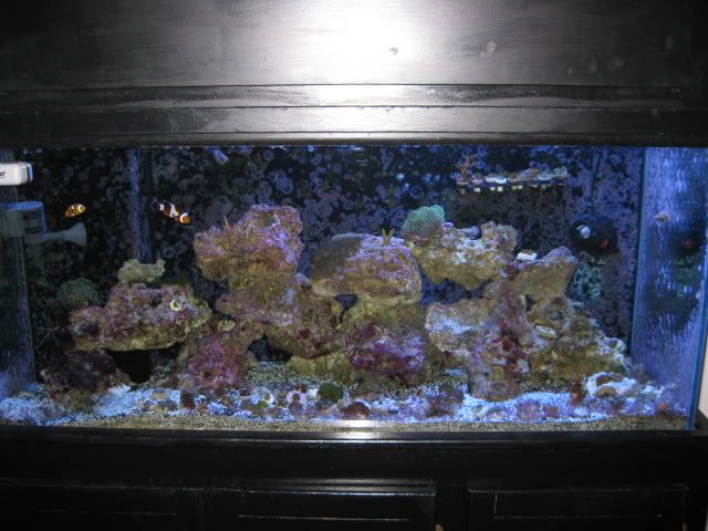 IMG_0512.jpg