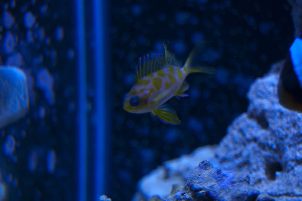DSC_0080.jpg