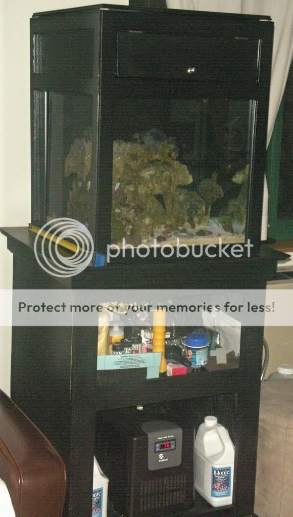 PICT0009.jpg