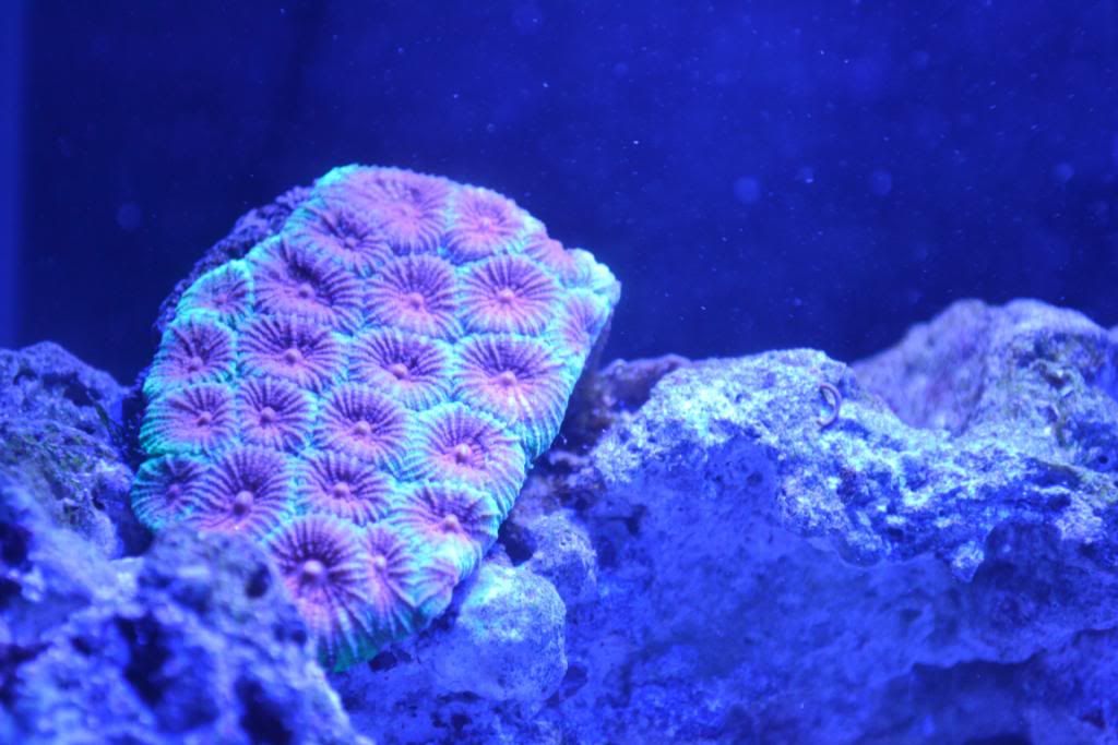 DSC_0025.jpg