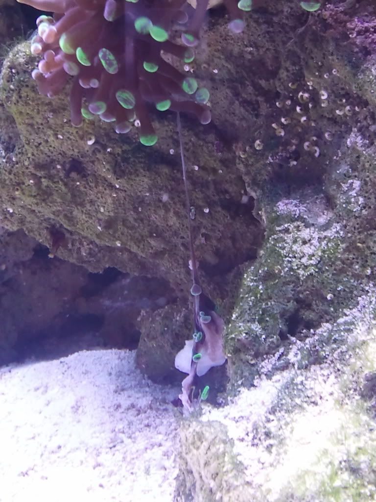 2011-01-24165234.jpg