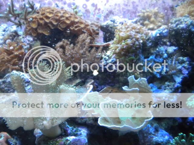 DSCN1442.jpg