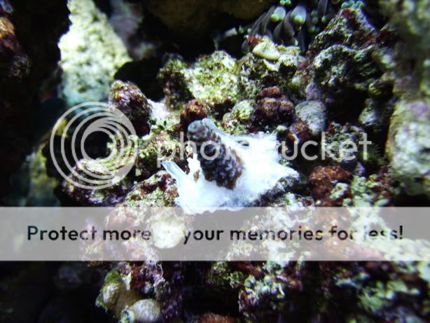 Aqua_1_16004.jpg