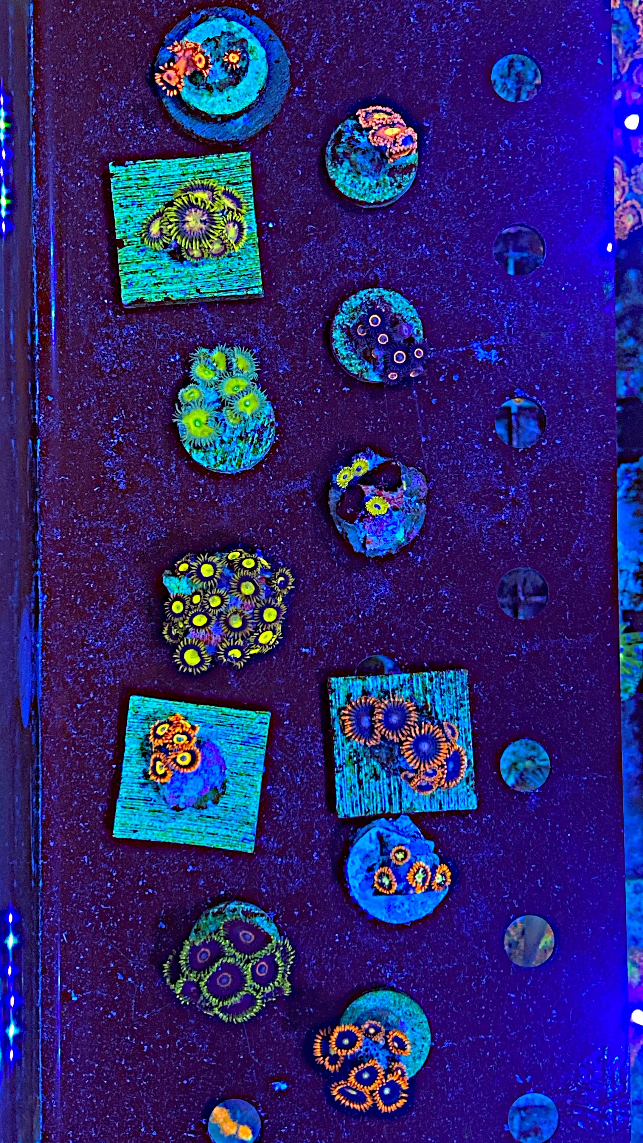 72c956c82dd51ada93d7c5caf03b0967.jpg