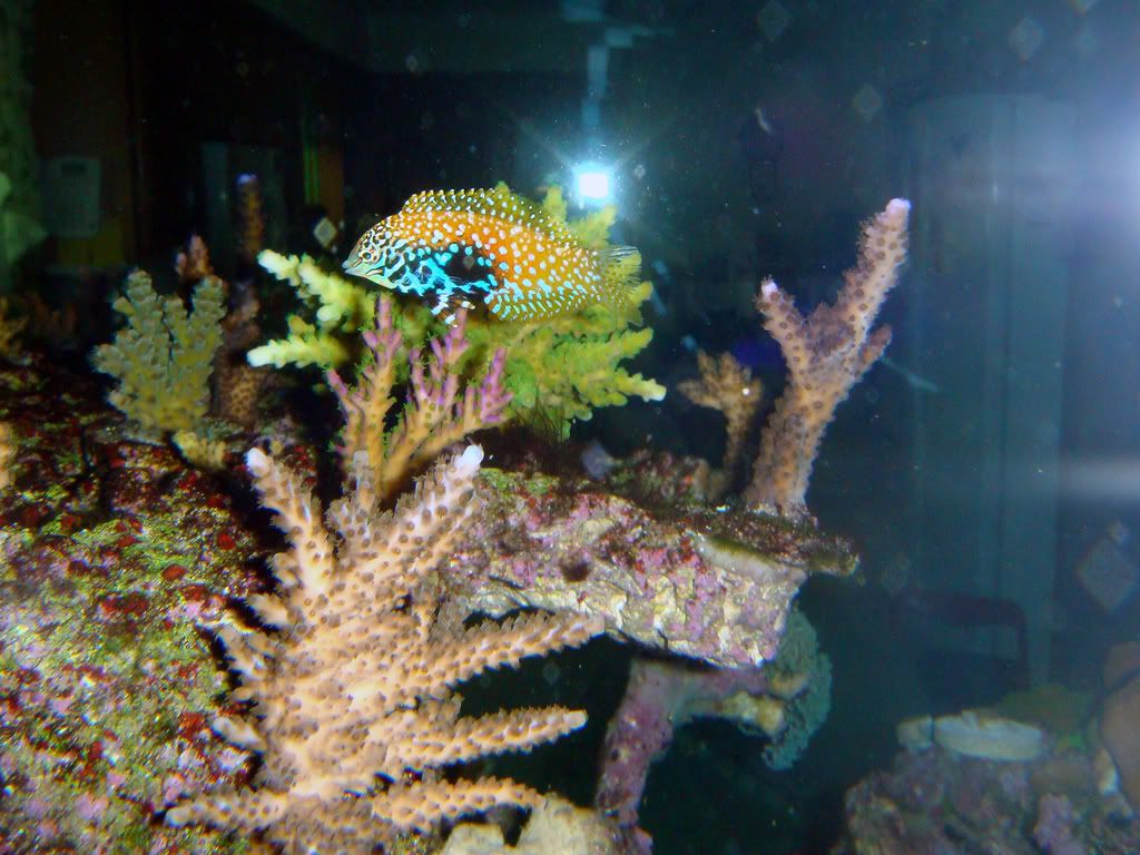 DSC02278_edited.jpg
