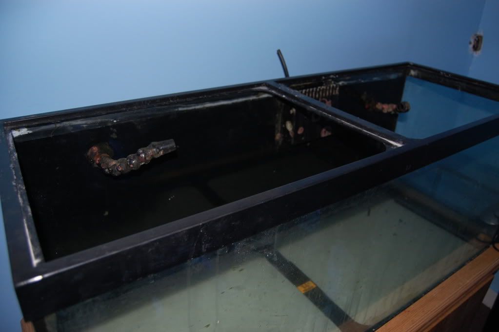 DSC_1993.jpg