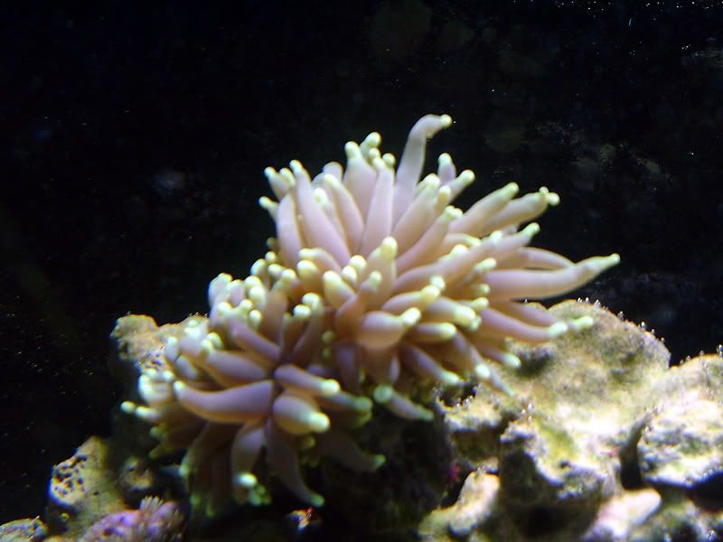 DSCF0399.jpg