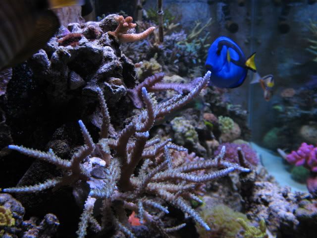 tanksep08018.jpg
