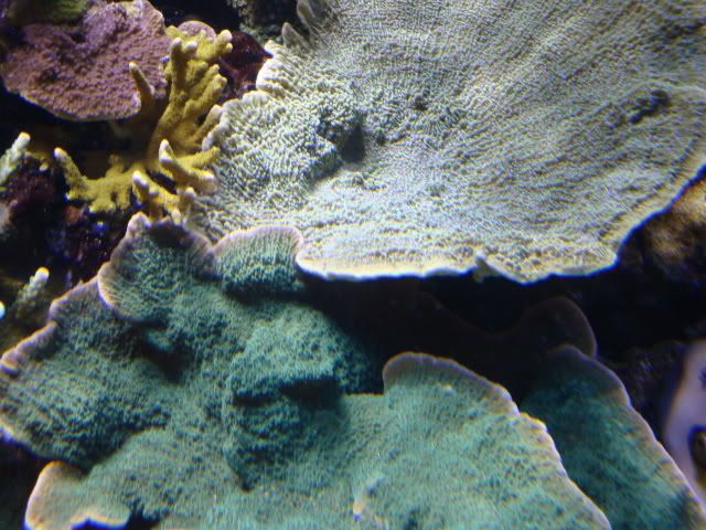 DSC01287.jpg