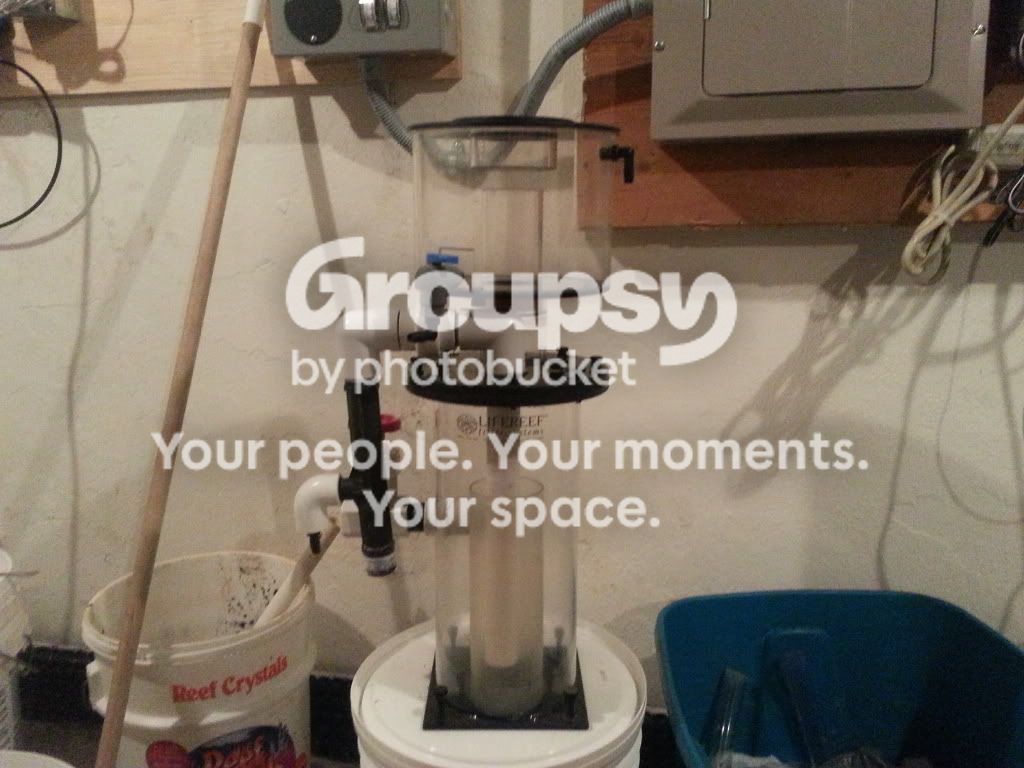 20130506_050434_zps4e0ea5aa.jpg
