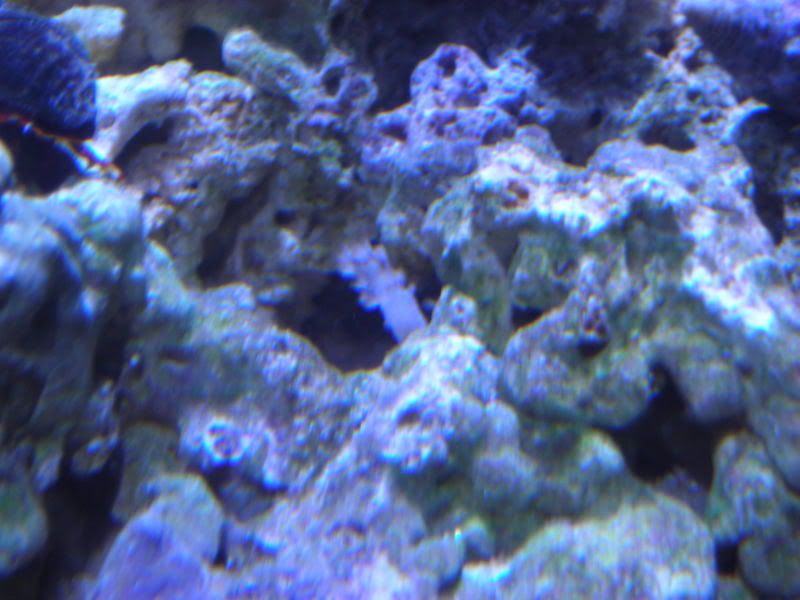DSCN1817.jpg