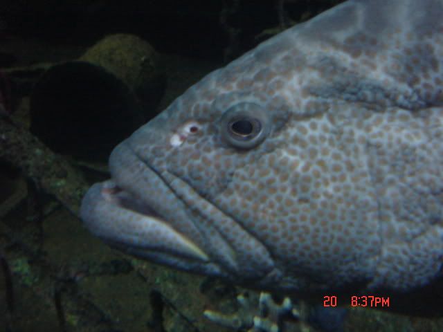 DSC01389.jpg