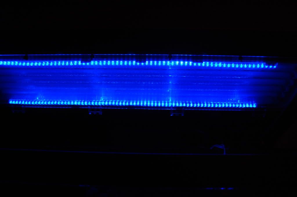 DSC_0796.jpg