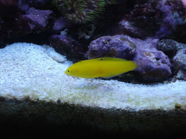 DSC03406.jpg